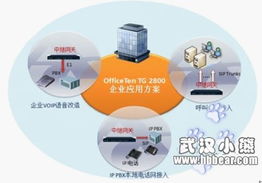 網(wǎng)經(jīng)科技湖北省新產(chǎn)品發(fā)布會(huì)圓滿(mǎn)落幕，引領(lǐng)網(wǎng)絡(luò)科技新浪潮